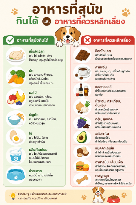 อาหารที่สุนัขกินได้และอาหารที่ควรหลีกเลี่ยง