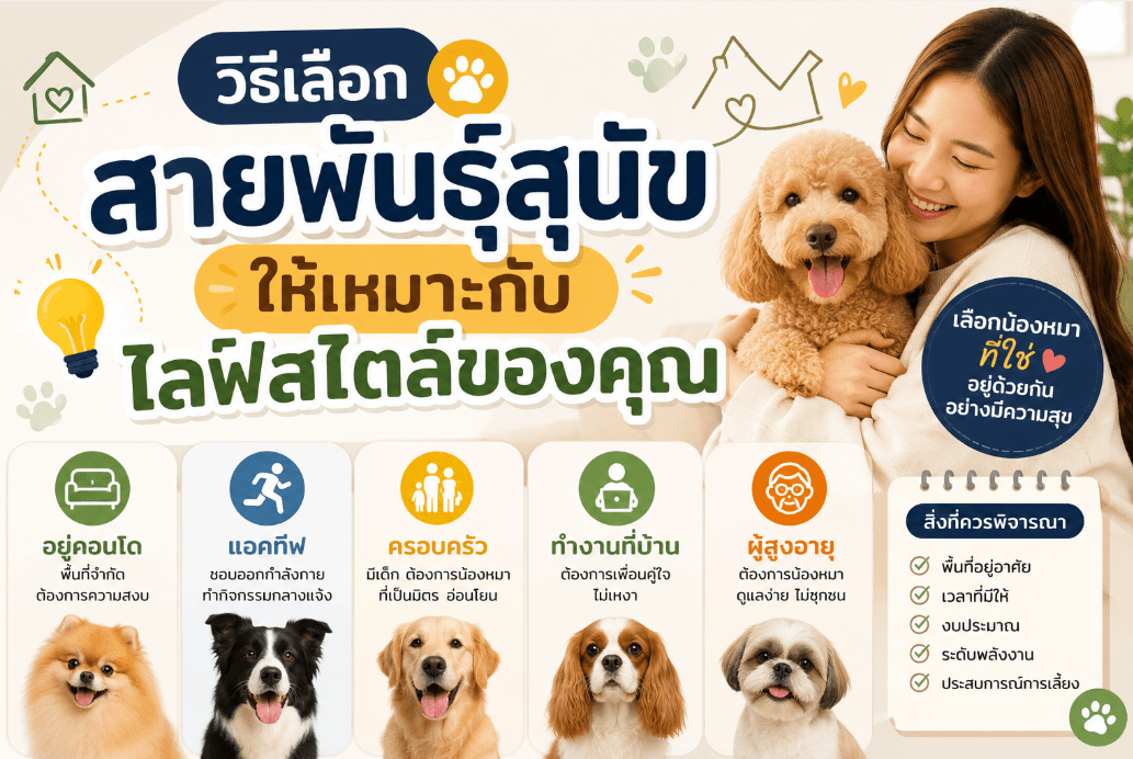 วิธีเลือกสายพันธุ์สุนัขให้เหมาะกับไลฟ์สไตล์ของคุณ