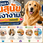 วิธีดูแลขนสุนัขให้เงางามและสุขภาพดีตลอดปี