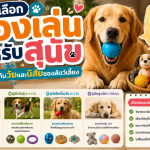 วิธีเลือกของเล่นสำหรับสุนัข ให้เหมาะกับวัยและนิสัยของสัตว์เลี้ยง