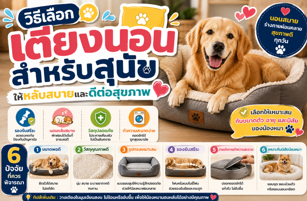 วิธีเลือกเตียงนอนสำหรับสุนัข ให้หลับสบายและดีต่อสุขภาพ